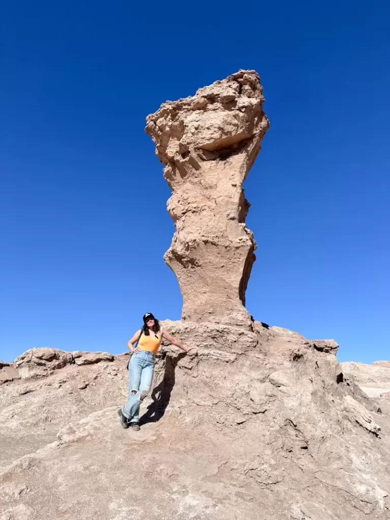 Vallecito e Magic Bus no Deserto do Atacama 6