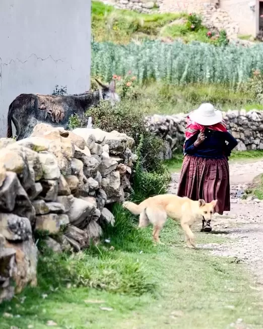 isla del sol copacabana bolivia1