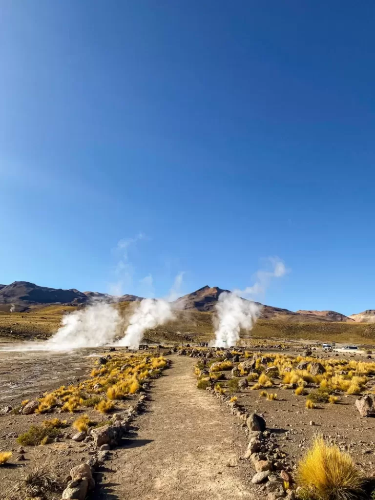 geyser del tatio atacama3