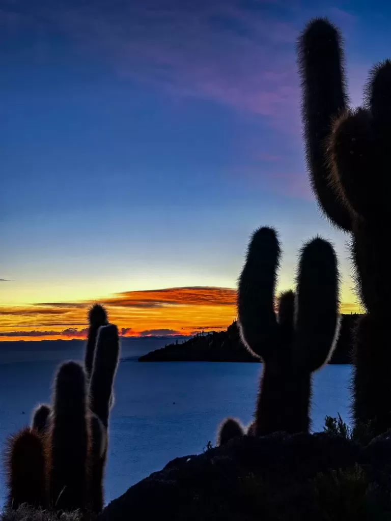 Isla Incahuas em salar de uyuni bolivia2