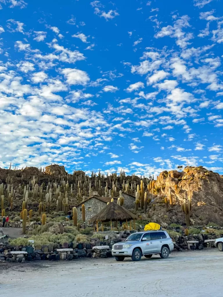 Isla Incahuas em salar de uyuni bolivia6