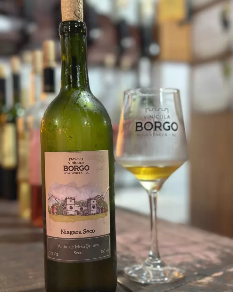 vinicola borgo